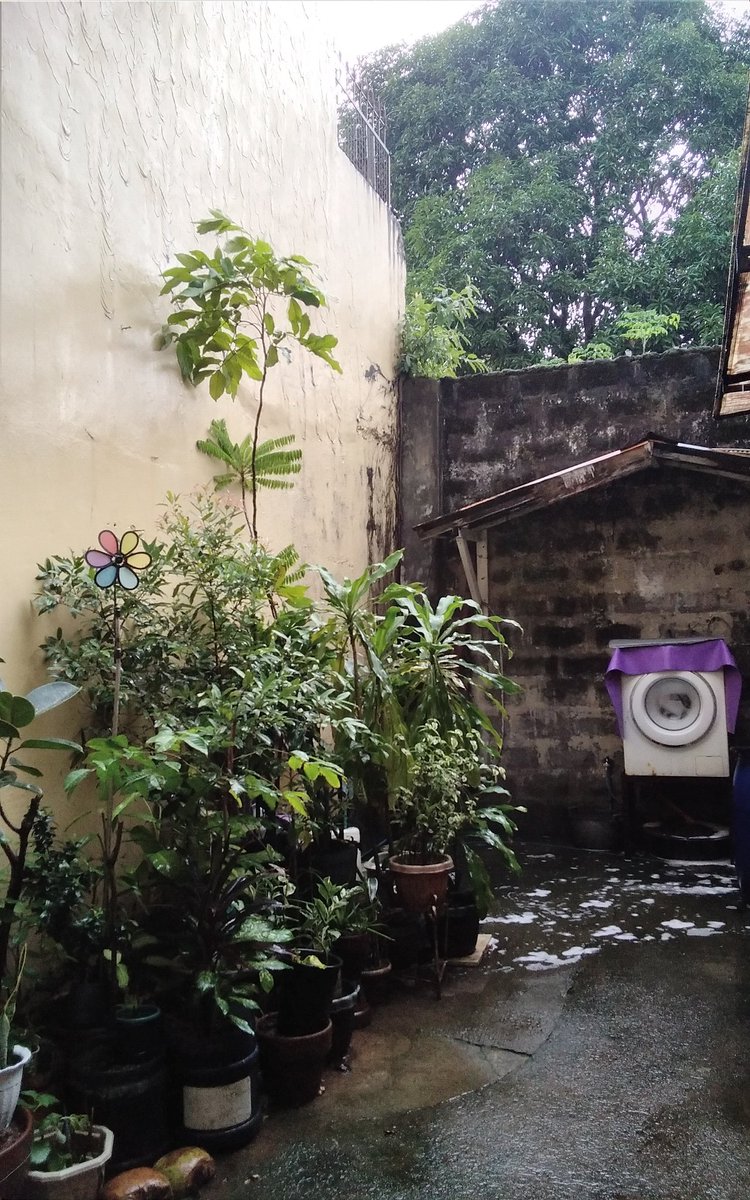 KingPaulStep's tweet image. Maybe too much #launderer&apos;s #soap