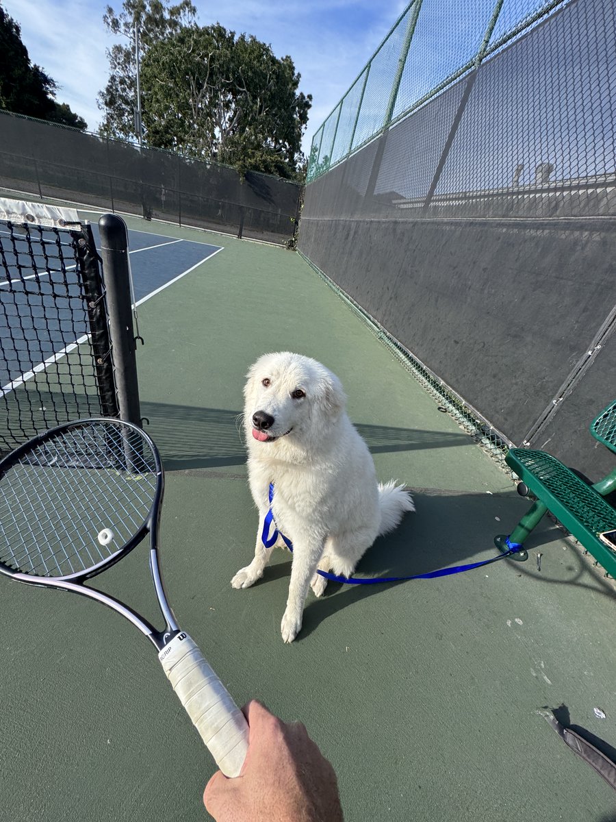 今年我一直很享受在洛杉矶的生活。

如果你在附近打网球，咱们一起打吧。

我也会带这个人来。