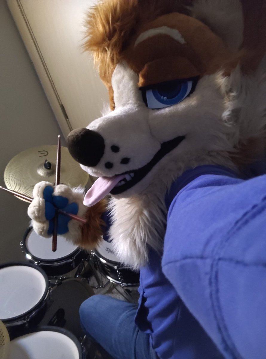 Toffee Corg tweet media