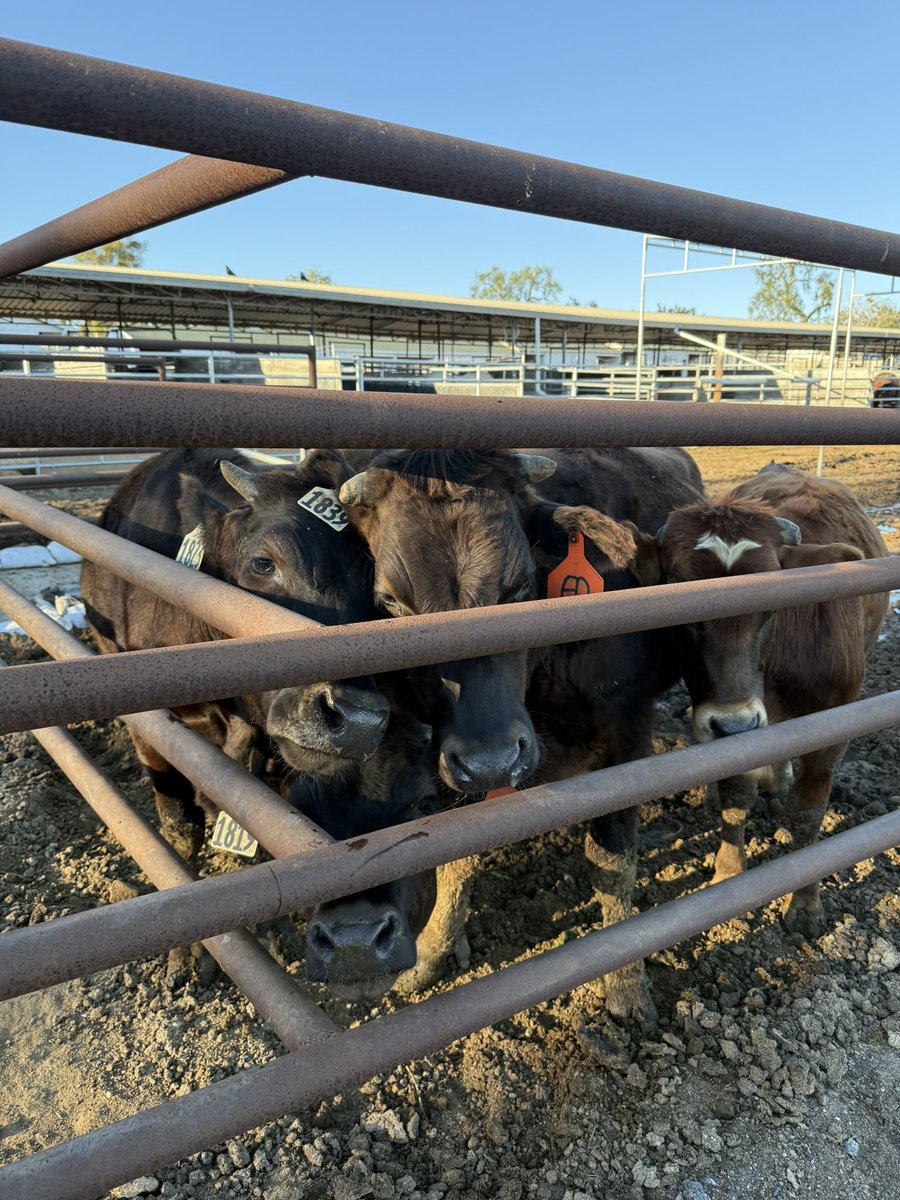 Walks like these are soul nourishment.