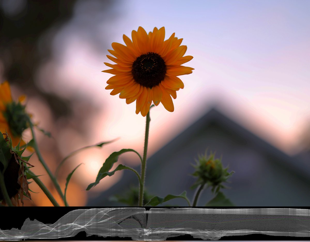 bg_anon's tweet image. If the cameras don&apos;t apply the ISO evenly, but only on the dark areas, then we can get great images automatically straight out of the camera! It&apos;s a stupid design!