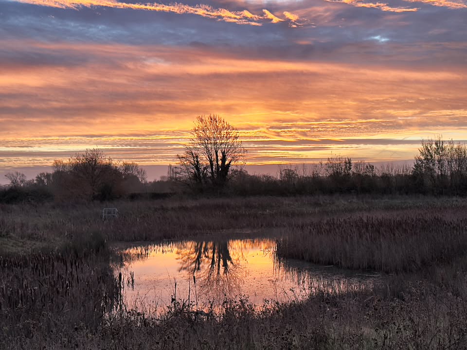 BBCRadioKent's tweet image. Today&apos;s #PhotoOfTheDay from Ashford 📸 thank you to Trish Abbott for sending this in 🌅