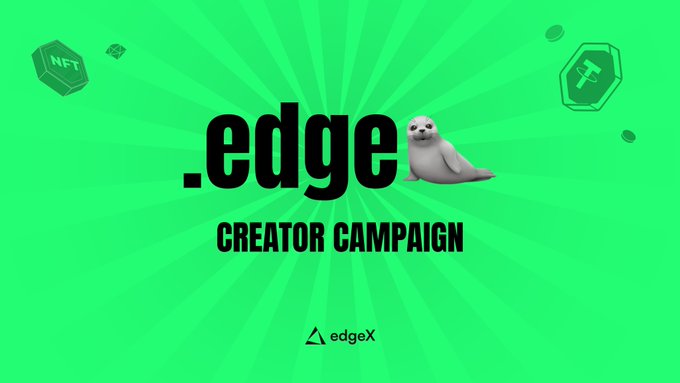 yanin.edge🦭 tweet media