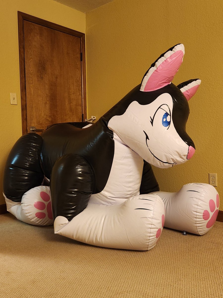 Life sucks sometimes but I always smile when I look in the corner of my room and see my giant blow up therapy dog 🥰