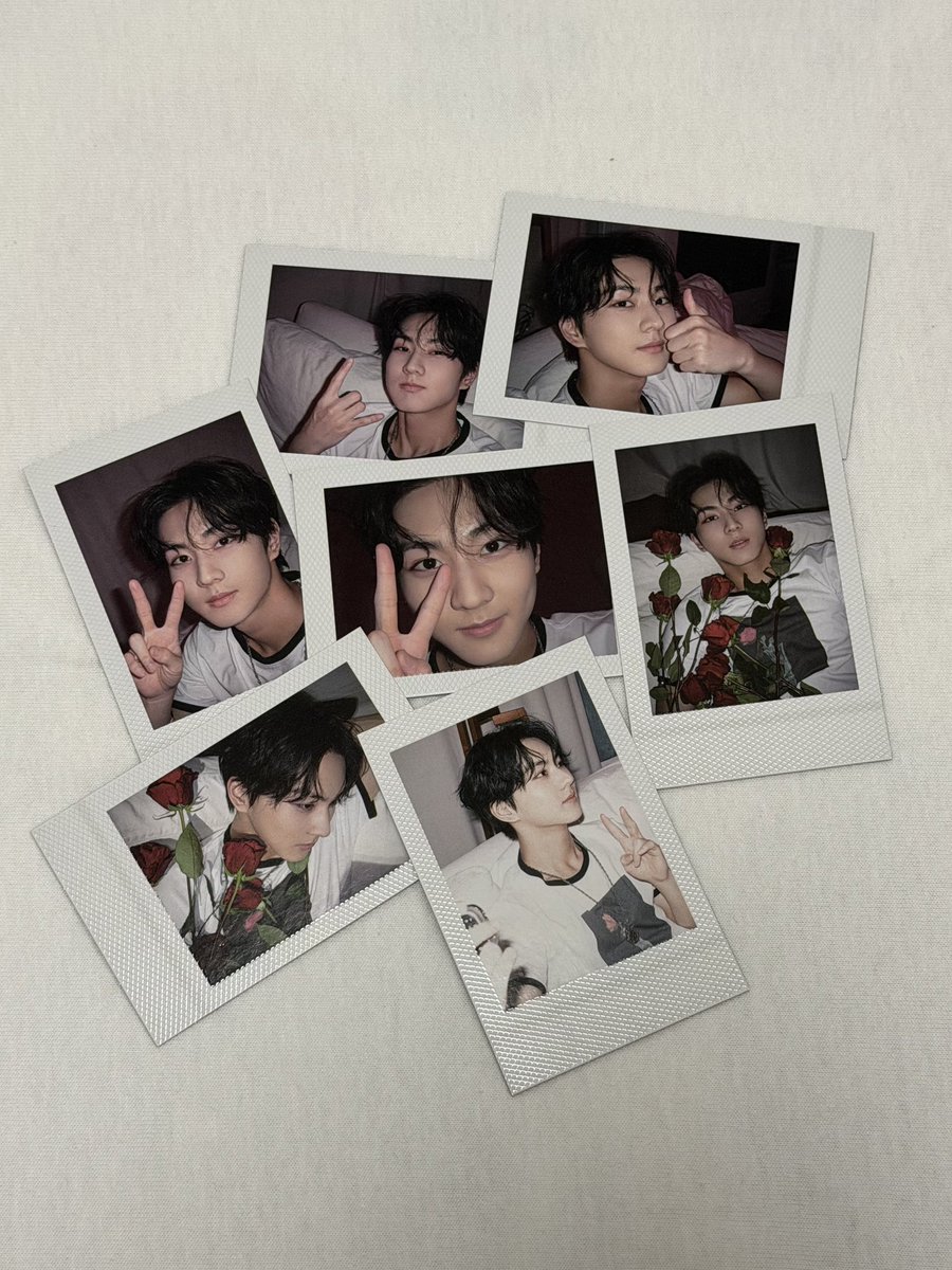 the prettiest polaroid i’ve ever seen