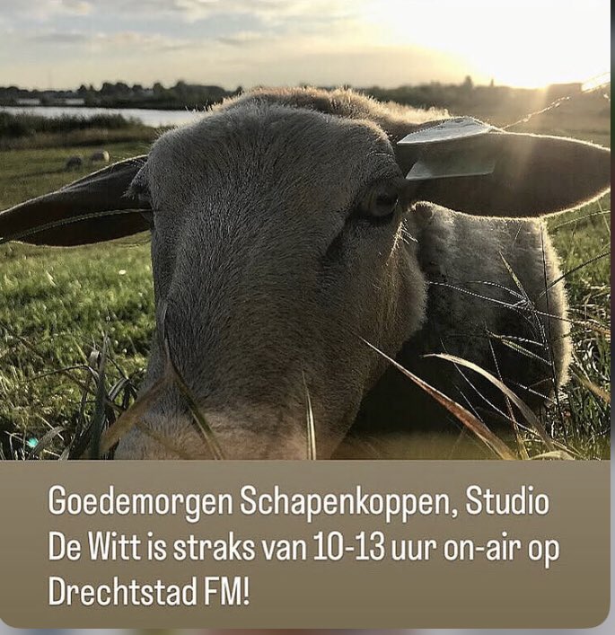 Studio De Witt (@studio_witt) on Twitter photo 