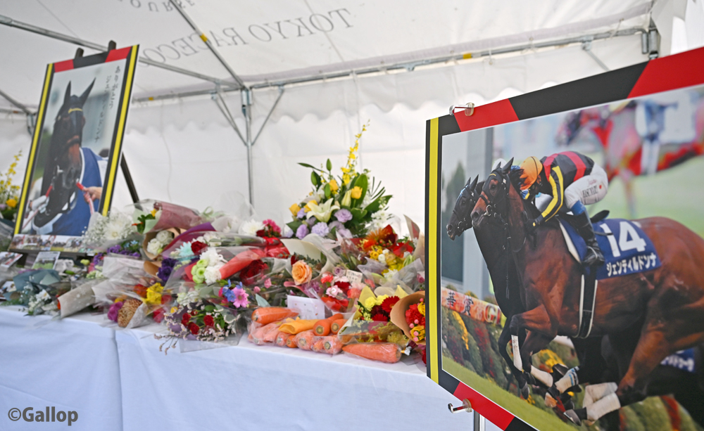 東京競馬場に設置されている献花台です💐