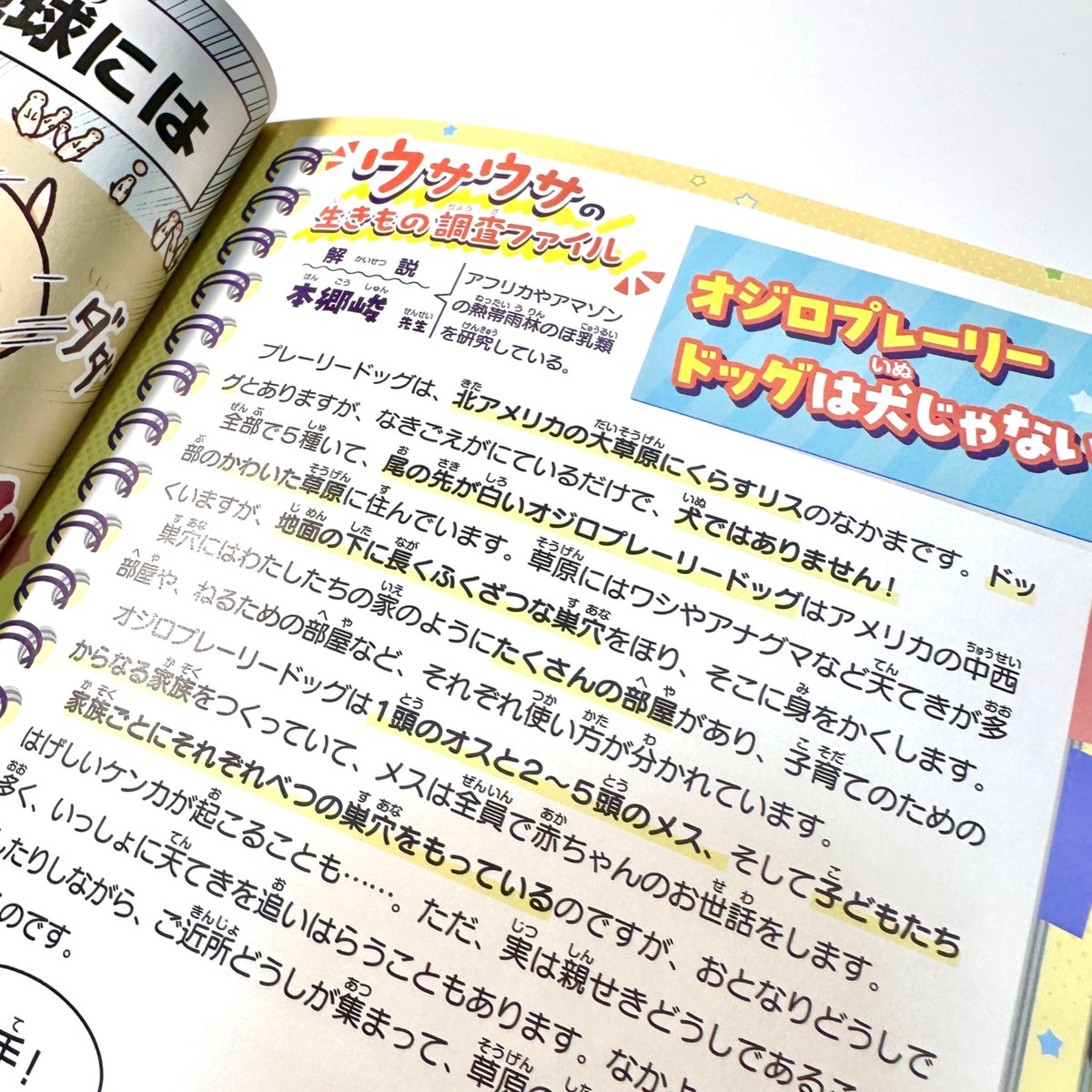 いきもの学級新聞12〜40、42〜49 学習マンガ・理科 ウサウサ！ 生きものレポート」好評発売中✨ 累計600
