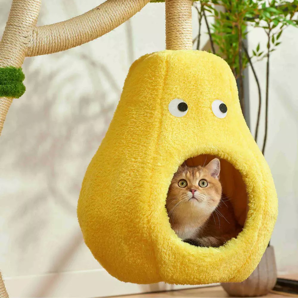 Gear Diary’s 2025 Holiday Gift Guide: Smart, Stylish, and Wellness-Boosting Gifts for Pet-Loving Homes geardiary.com/2025/11/29/202…