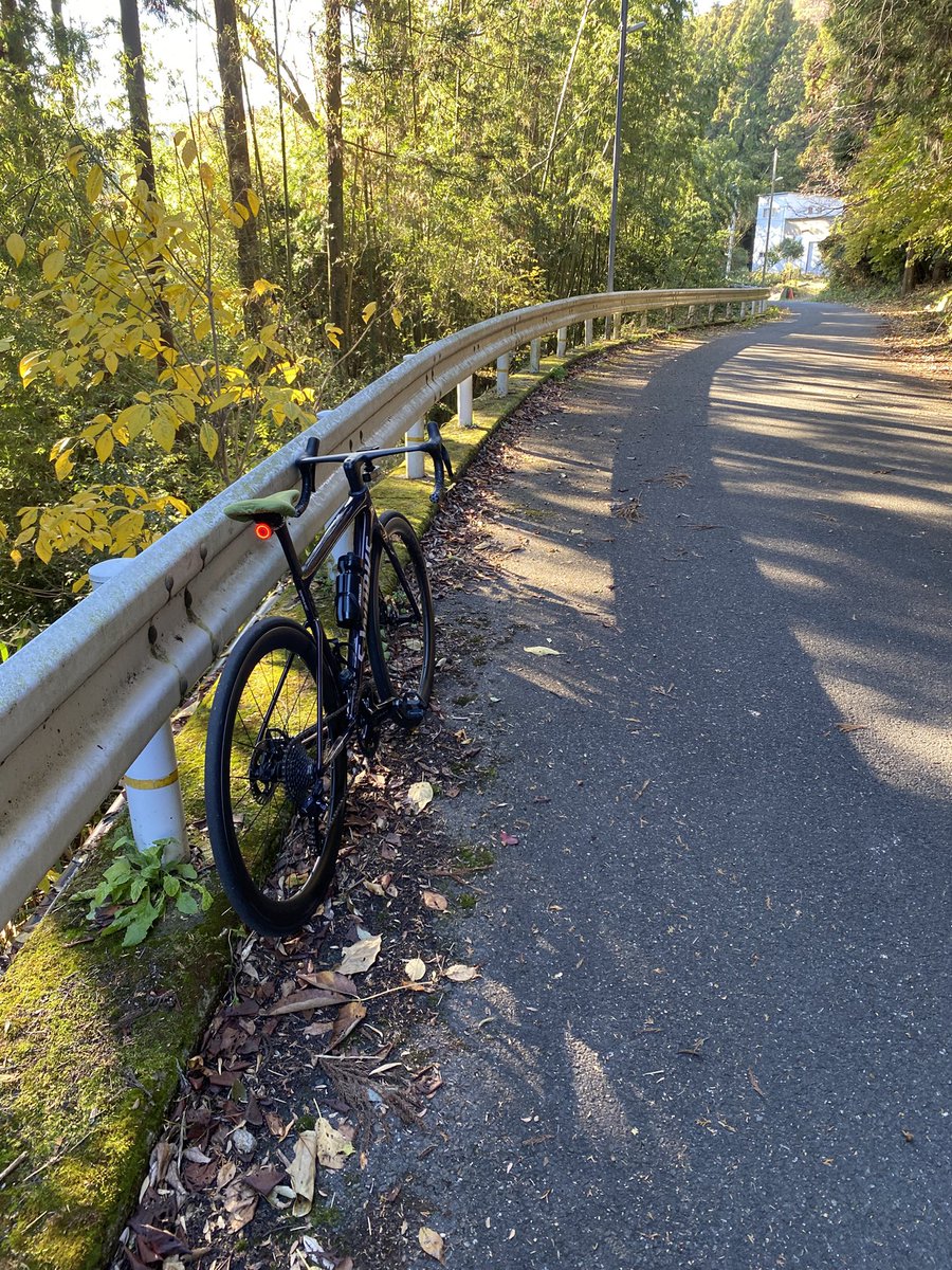 H0422uk's tweet photo. 今日は鬼取の坂チャレンジ🚴
初挑戦で無事クリアできました✨
暗峠の奈良側も久しぶりに上ろうと思いましたが、12/1まで通行止めだったのでまた次回挑戦します！ https://t.co/lkOjQ0pr59