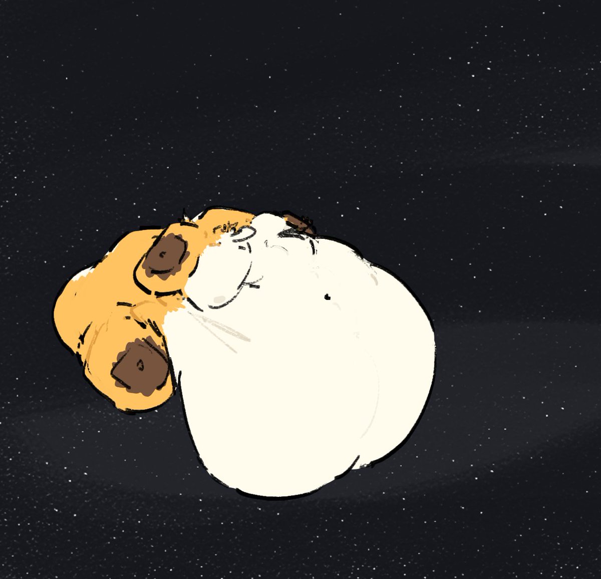 FoxBoi001's tweet image. somewhere in the deep dark vacuum of space