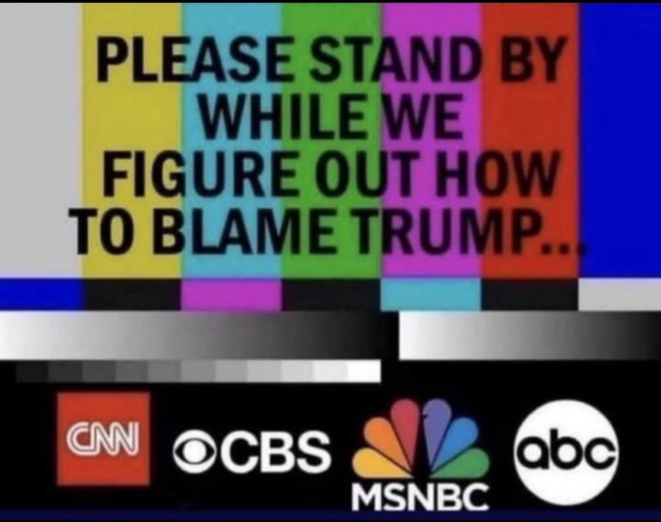 Alpha Wolf 🐺 tweet media