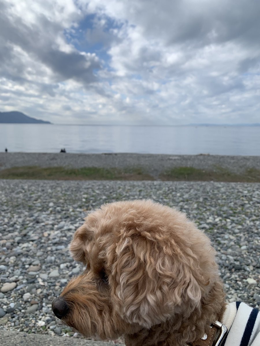 Amemican's tweet photo. 沼津へ久しぶりに行って来た😊
やっぱり海は良いね🌊 https://t.co/fjwZXcDe4r