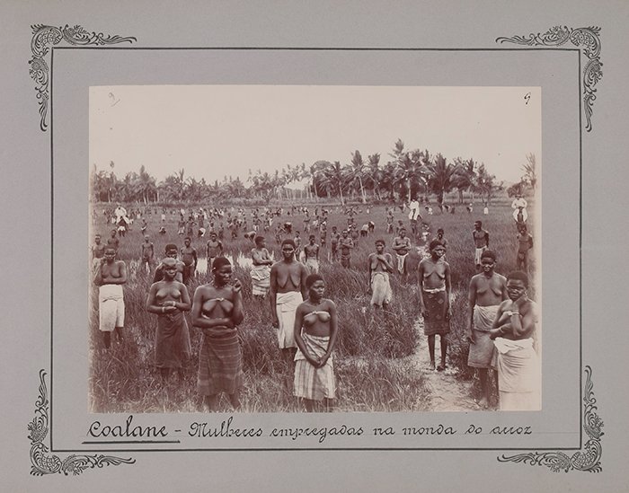 MainlandAfrica's tweet image. White people: Not everything is about race.

Also white people: