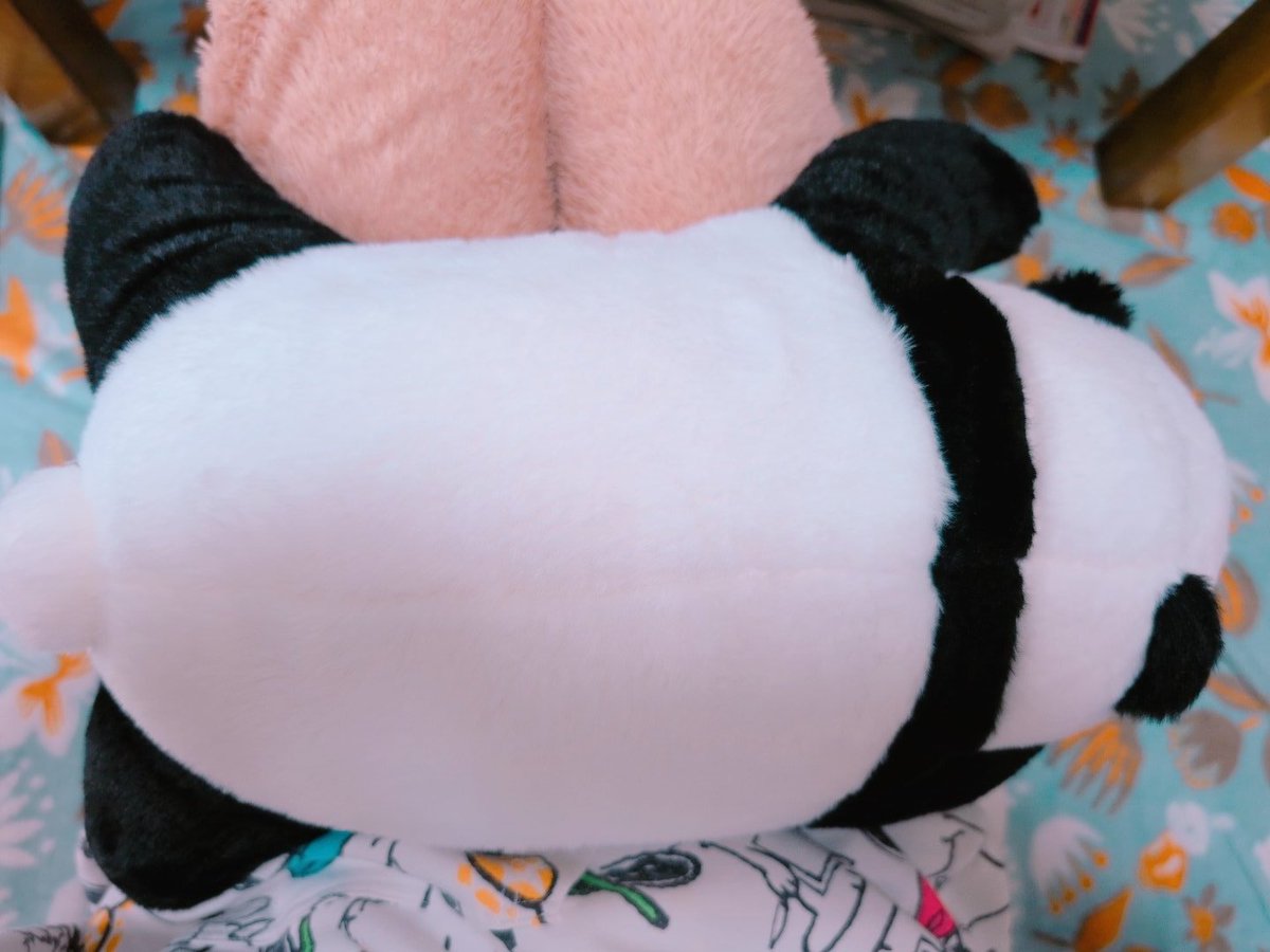 hoccoriocayu's tweet photo. 今日もお膝の上にはパンダ🐼
当たり前のようによじ登ってくる🤭

#ぬい撮り #ぬいぐるみの時間 
#omonui https://t.co/7aGUyqasgA