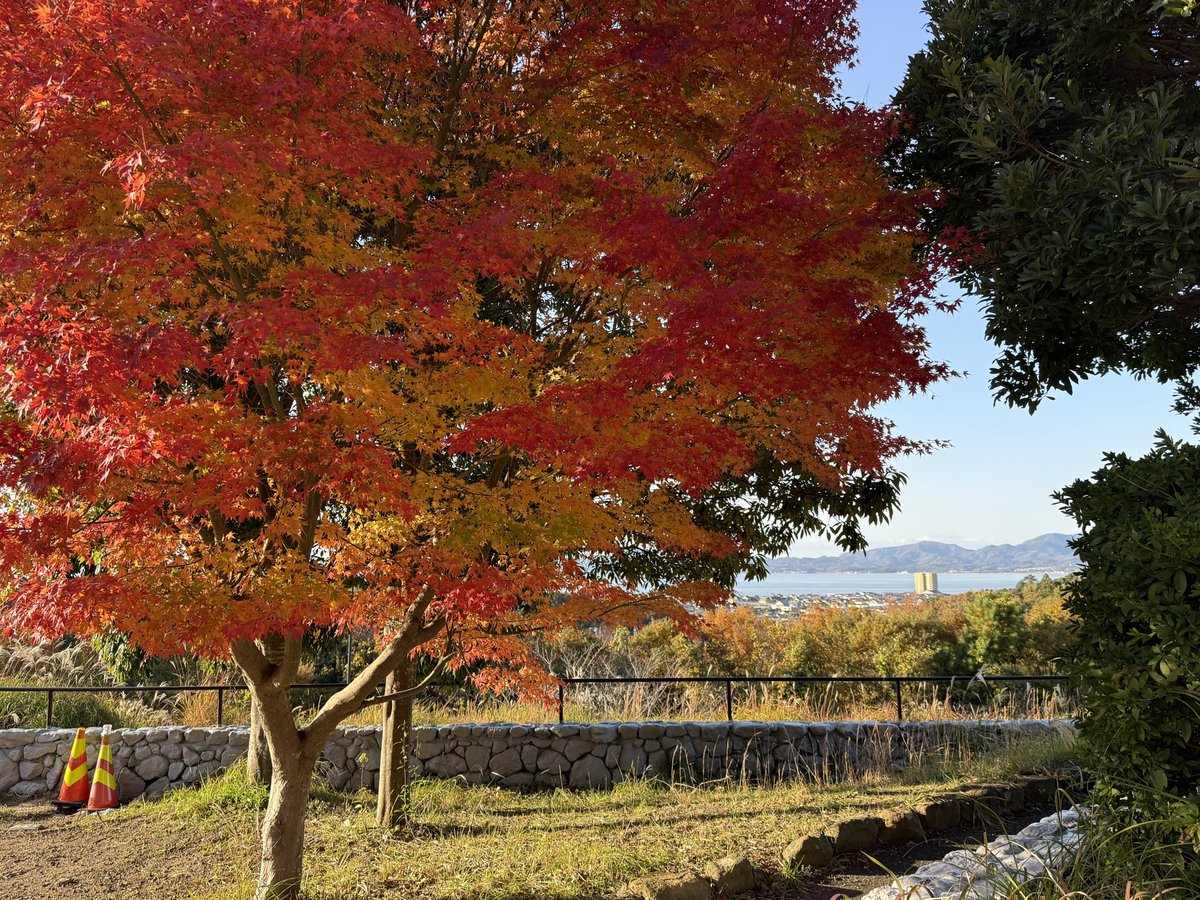 紅葉と宍道湖と🍁とても美しい！

#宍道湖SA