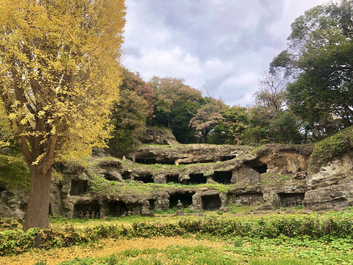 鎌倉郊外の #まんだら堂やぐら群 へ行く。鎌倉時代の墓地が横須賀線のトンネルの上の高台にあった。