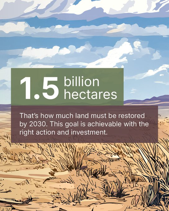 CIFOR-ICRAF tweet media