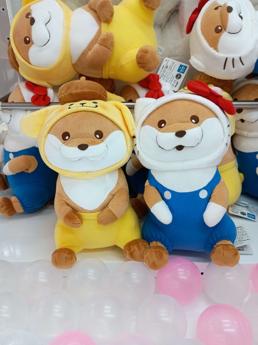 景品入荷情報】 「可愛い嘘のカワウソ×サンリオキャラクターズ BIG