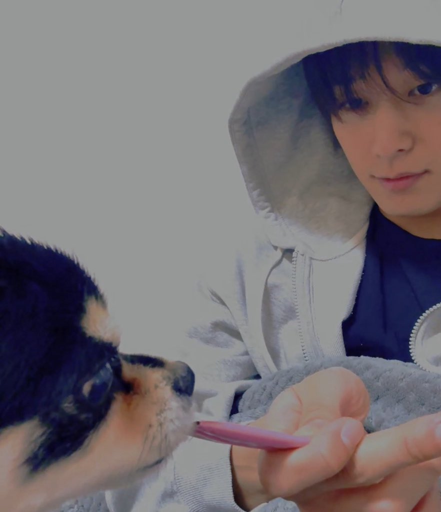 강아지랑 츄르 나눠먹는 고양이