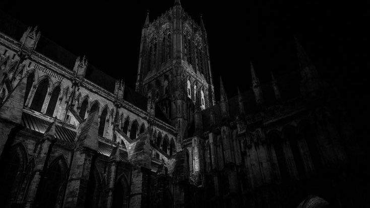 alex ☥ tweet media