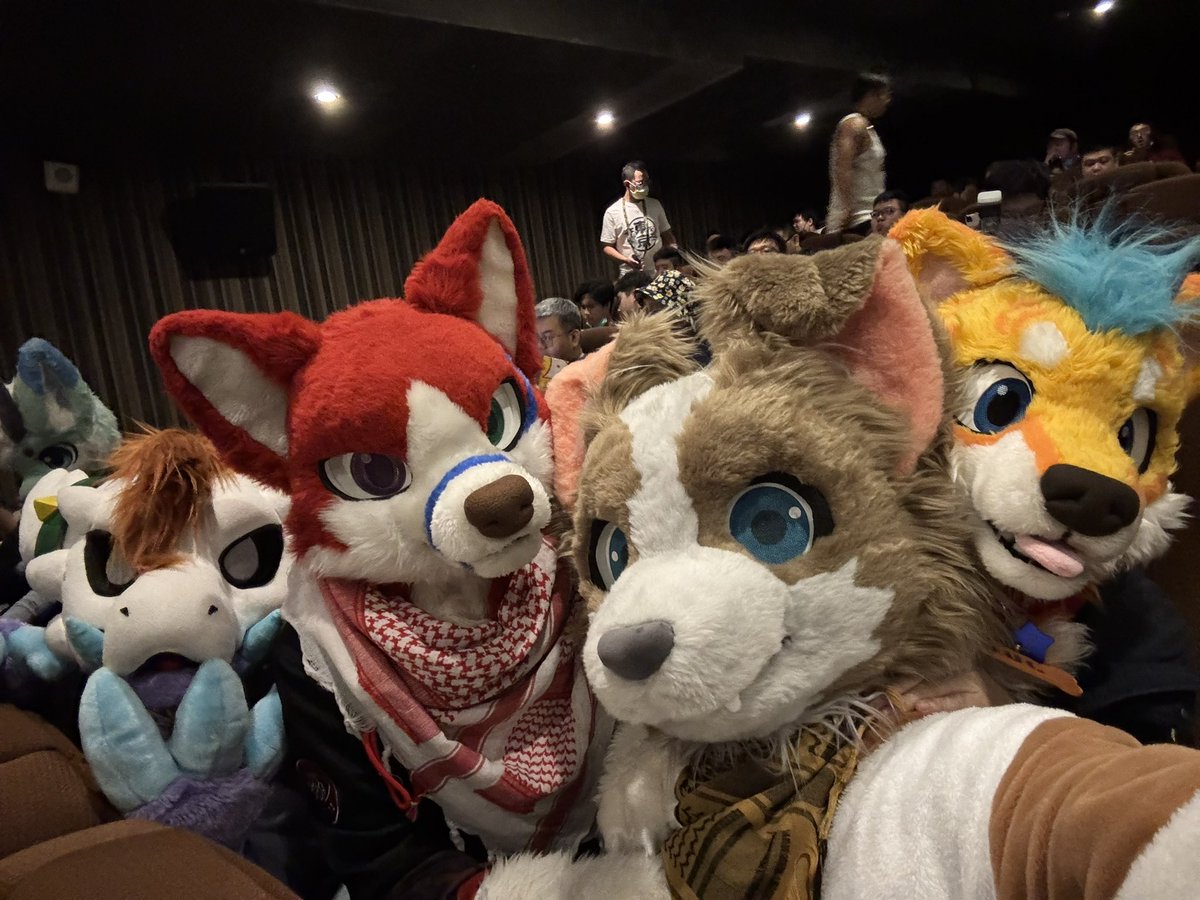 Ca Woof ➡️ UTFG tweet media