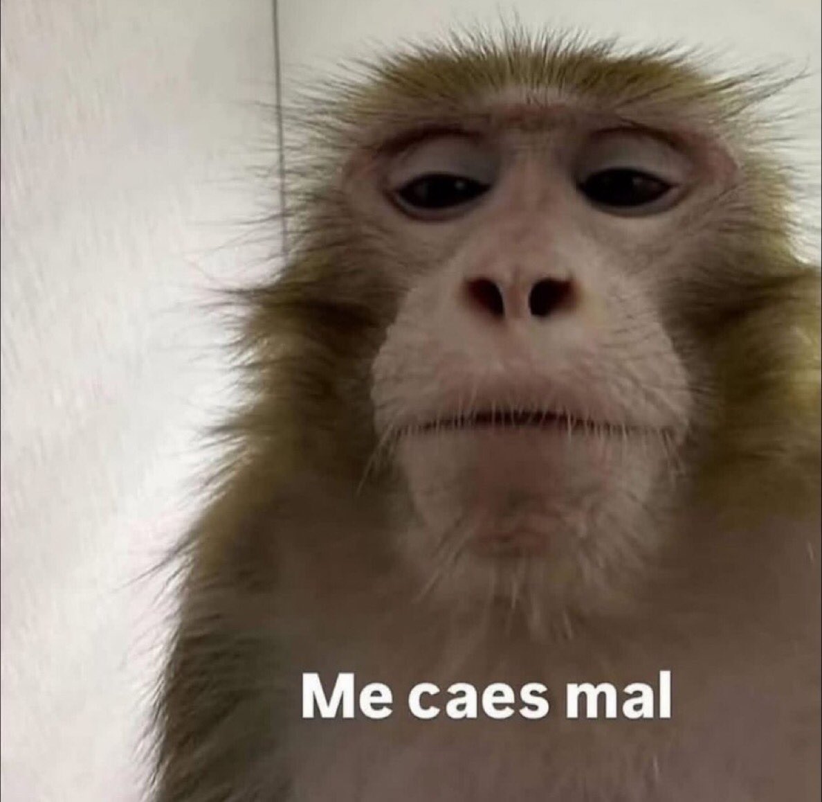 Yo con esa persona que realmente quiero muchísimo: