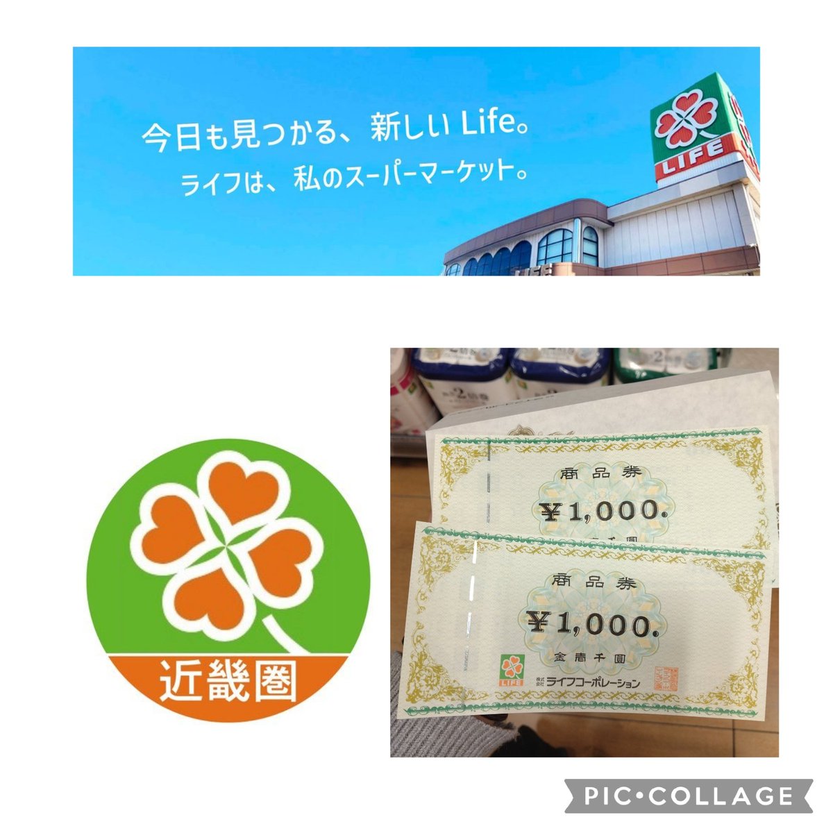 チーボウ (@GcV2m0DFMlxdMxw) / Posts / X