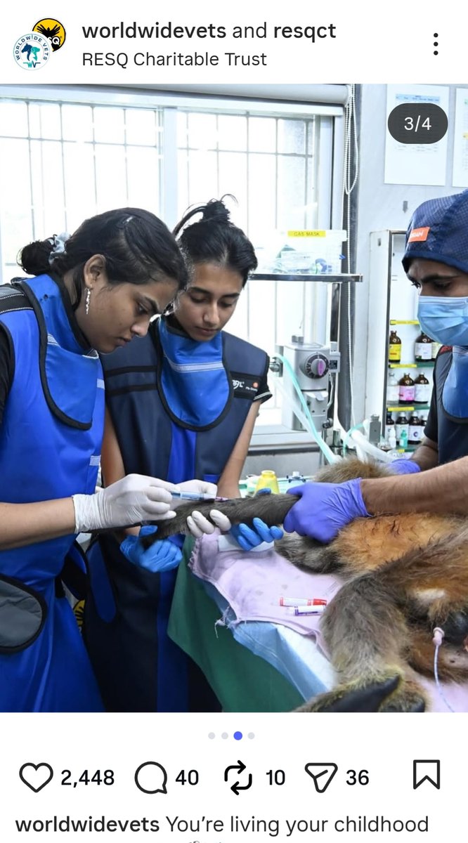 netwadhuri's tweet image. Escalating to State Leadership

12/20
I can confirm that a formal complaint is being drafted for Forest Minister Ganesh Naik, supported by documents and videos.
@CMOMaharashtra @Dev_Fadnavis @ganeshnaikncp @MahaForest @jituramgaokar @neha_panchamiya @resqct 
#DevendrFadnavis…