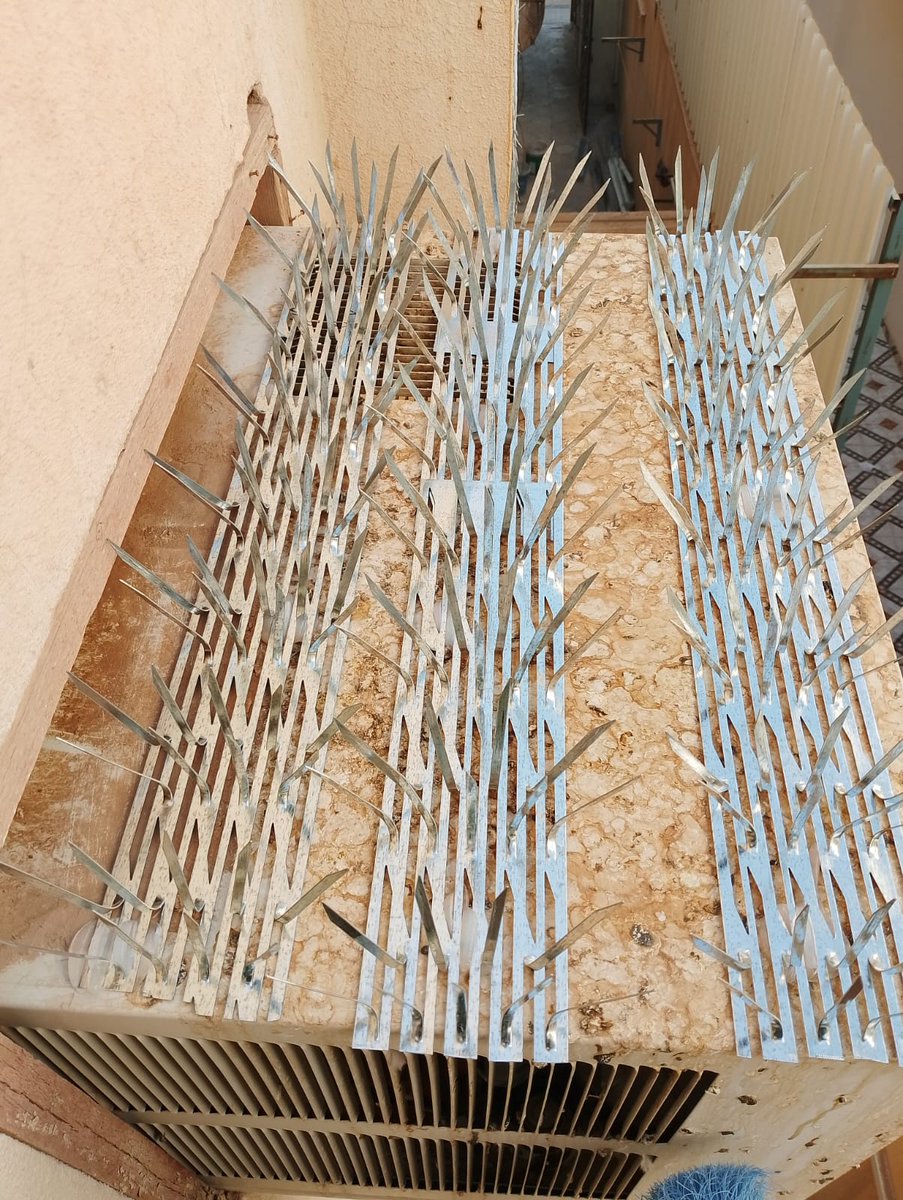 شركة تركيب طارد الطيور والحمام بالرياض  شبك الحمام
 تركيب طارد الحمام والطيور
افضل الأسعار اتصل نصل أينما كنت
افضل الطرق لتركيب طارد الحمام
تركيب بأيد عامله مدربه مكافحة الحشرات ، رش مبيدات حشريه  تركيب شبوك ، اشواك ، البروز 

0555636294📞
#الاهلي #صباح_الأشياء_المُشرقة