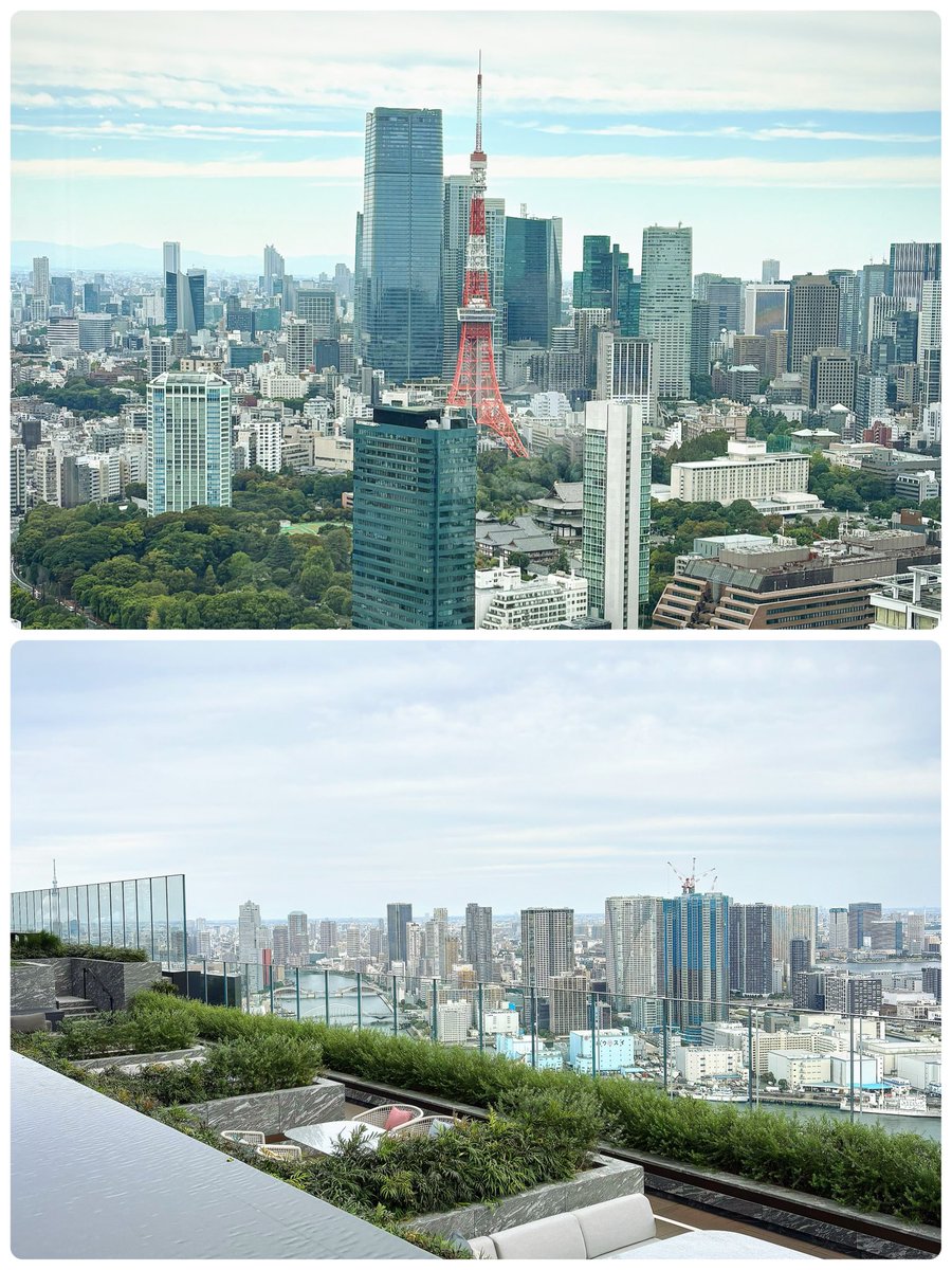 先日のお友達とランチ😋🍴

フェアモント東京【キルン＆トニック】
夏にNewオープンしたホテル

パンが美味しすぎてお代わりたくさんしちゃったꉂ🤭

テラスからは東京タワーも東京湾も見えるよ
夜景綺麗だから夜も来てみたいなー🗼✨️

ラウンジではアフヌン楽しんでる人もたくさんいたよ♡☕*°