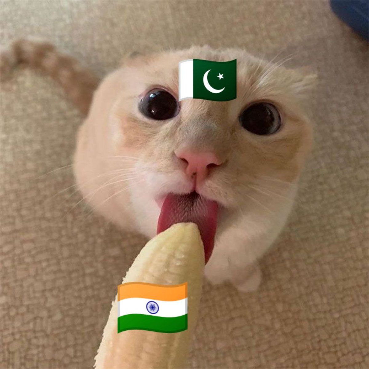 Pora_Babu's tweet image. Offering without context ! 😭😭