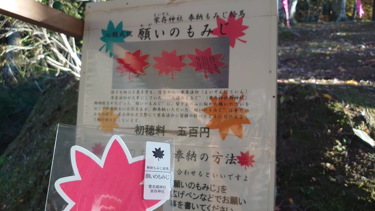 temptation_blue's tweet image. 先日、紅葉を見に行ったときに神社にお願いした願いは叶いませんでした😢

TMの立川公演、2日間は無理でもどちらは行けますように🍁

お譲りして頂ける方がいらっしゃいましたら、どうか1枚でいいのでお願い致します🙇

#TMNETWORK
#QUANTUM
#fanks_ticket