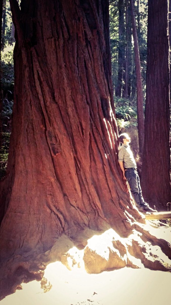cquoilebonheur's tweet image. Tu n’as pas à tout comprendre pour avancer. Le bonheur se construit dans la confiance, pas dans le contrôle.
→ Aujourd’hui, laisse une question ouverte, sans chercher de réponse. Observe simplement ce qui se présente, fais confiance au processus. #bonheur