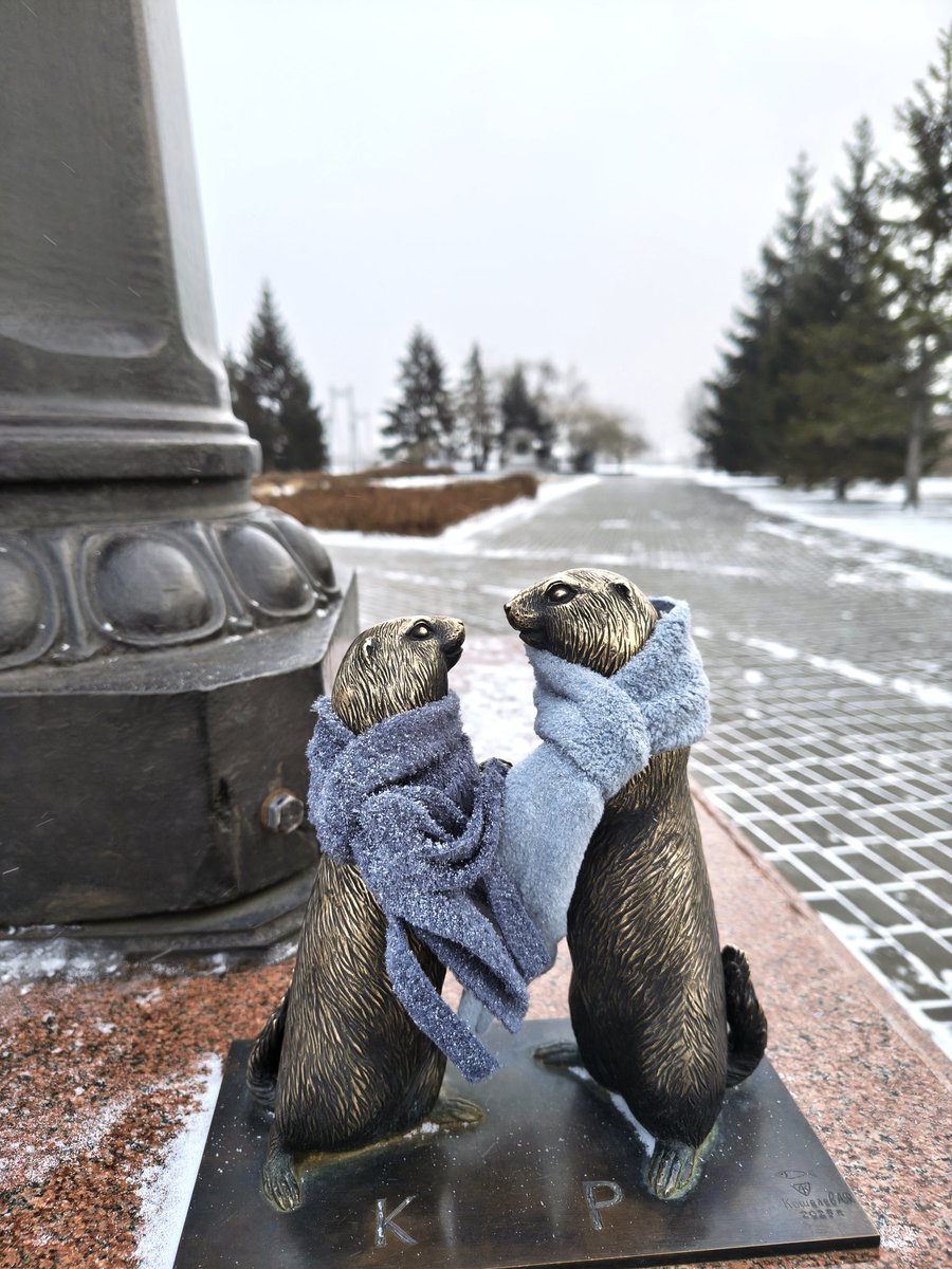 atomruncat's tweet image. Суслам сегодня не жарко 🏃‍♂️