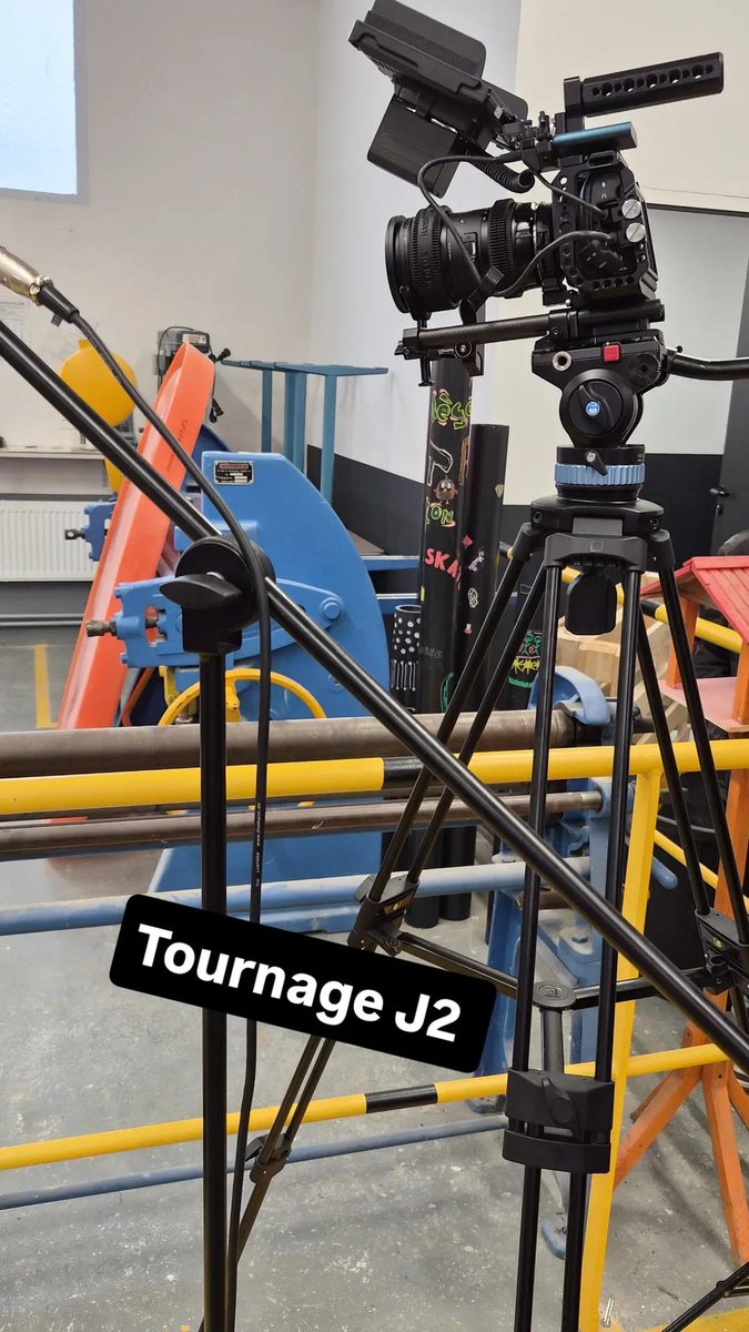 Maxi Prof tweet media