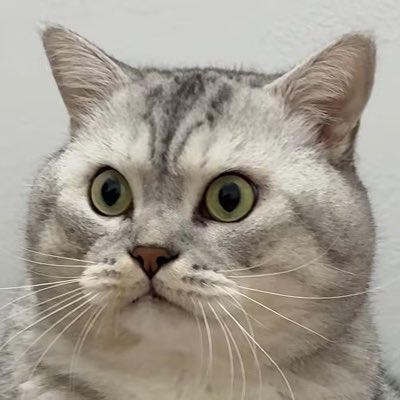 H6ProMAXPlus's tweet image. #NewProfilePic