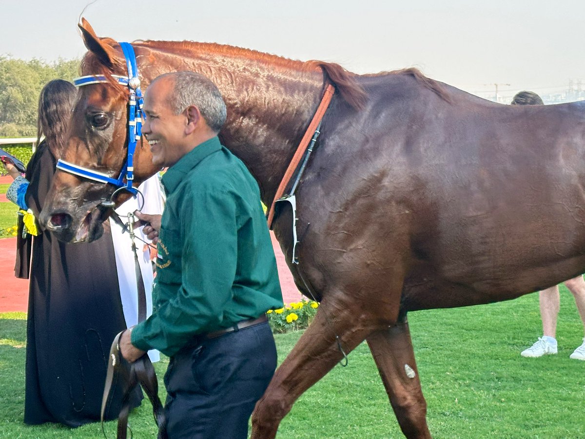 Michael Adolphson tweet media