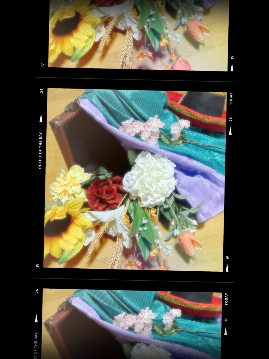 色んな国を巡る中で、沢山の新しい思い出を作っていたら素敵ですね。
カバンの中の物が増えていくのかな。

誓いの桜の花を大切にしてる光雲を見ているうちに、いつしか王子の方が世界中の花に詳しくなっていったら良いな、と思います。