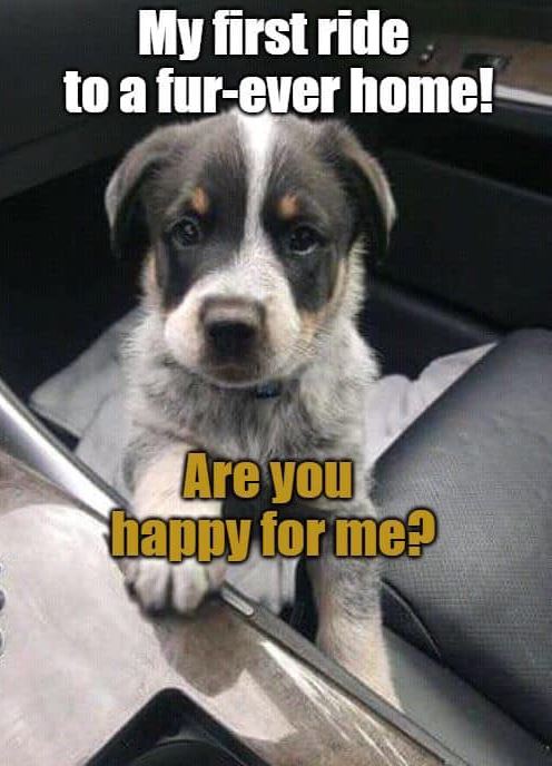 HerenaBentongV's tweet image. A night at the concert feels electric, her voice singing along, her beauty glowing in neon lights. #ConcertVibes 🎶