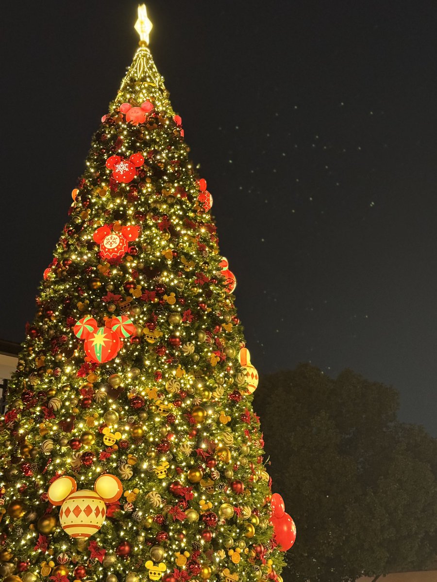 pu_Daka's tweet photo. 【上海、上海ディズニー観光レポ④】
ディズニータウンめちゃくちゃクリスマスでした
ただ悲しかったのがスタバが改装中(?)だったようで、限られたメニューのみのキッチンカー方式でした😢 https://t.co/mbSoHUQgQ3