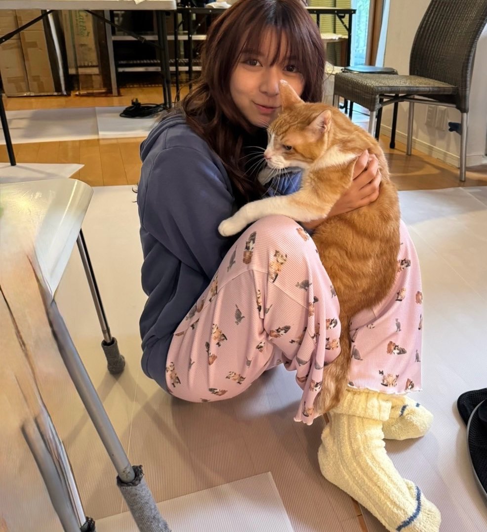 映画「ロマンティック・キラー」
いよいよ来月公開…🎞️

ということで、オフショットを気分で載せていこうかなあ
杏子の愛するにゃんこ、モモヒキ🐈

#ロマンティック・キラー