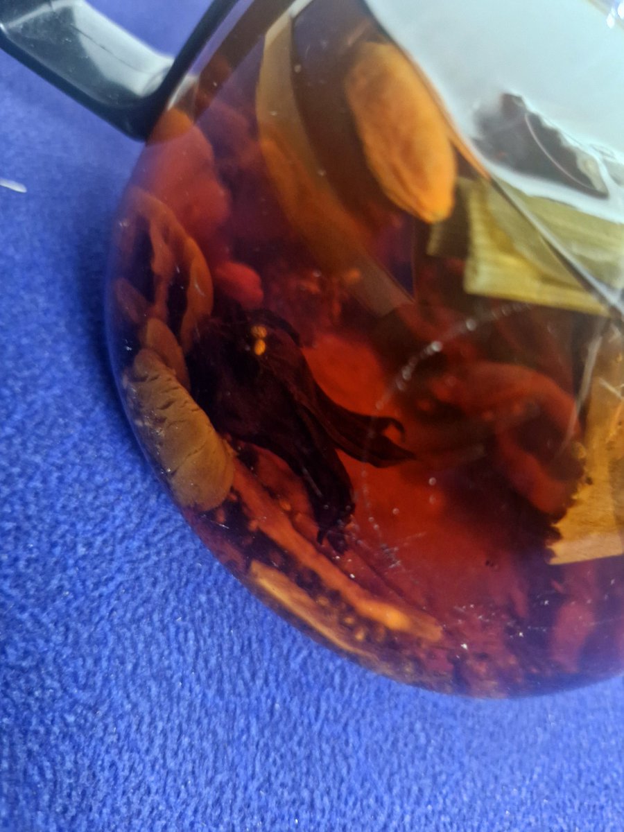 Elisa_Diep's tweet image. Cái thời tiết lạnh lạnh như này thì
1. ăn lẩu uống rượu
2. Uống trà đánh cờ
3. Tập #vinyasa, #inside #flow hoặc #astanga