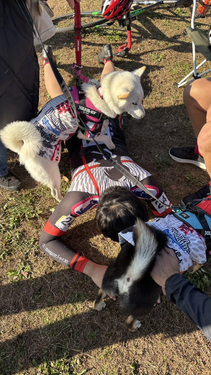 弊チームは小規模ながらチームマッサーが同行する本格派チームとなっております
 #maidss
 #足蹴にされてるわけではないたぶん