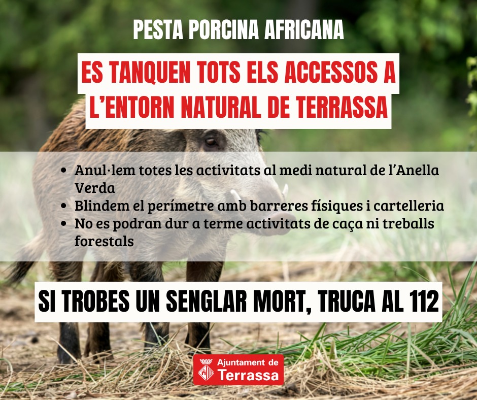 Demanem la vostra col·laboració per tal d'evitar que la situació detectada de #pestaporcina empitjori. Recordeu que no és un risc per a les persones.