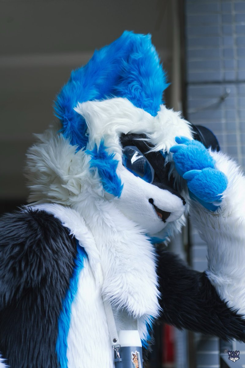 #FursuitEveryday 
EHHHHHHHH alright…