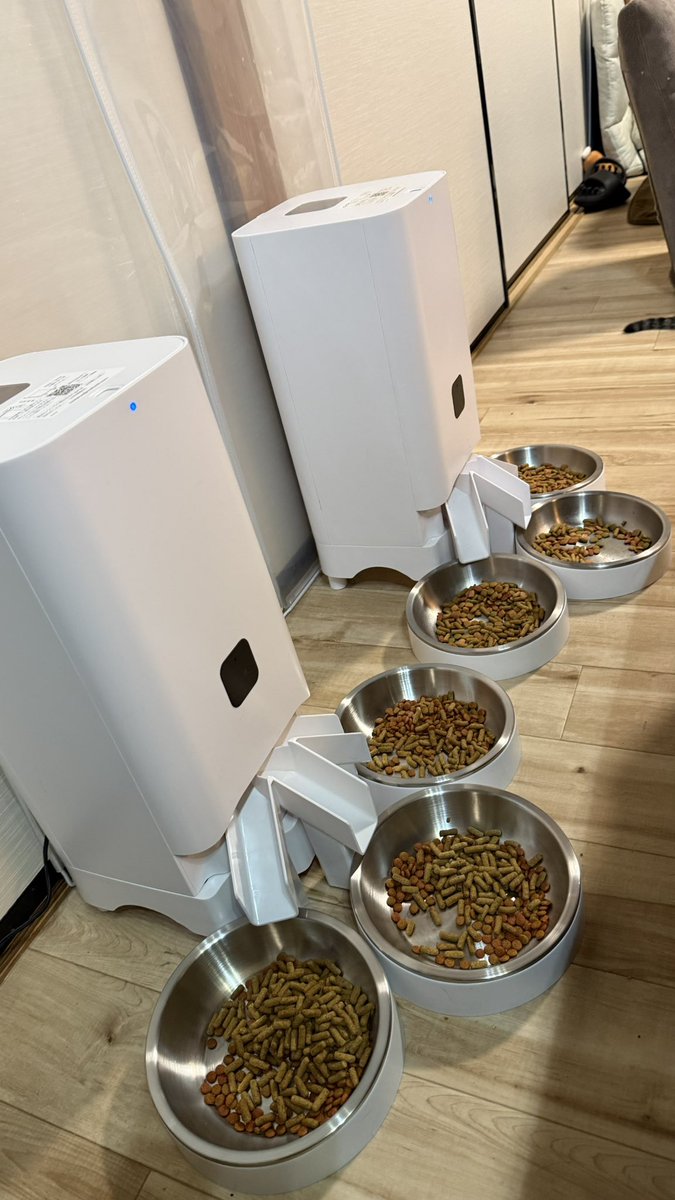 mimuBAR's tweet image. ３連自動給餌器が2台になりました
#猫と暮らす幸せ #猫多頭飼い