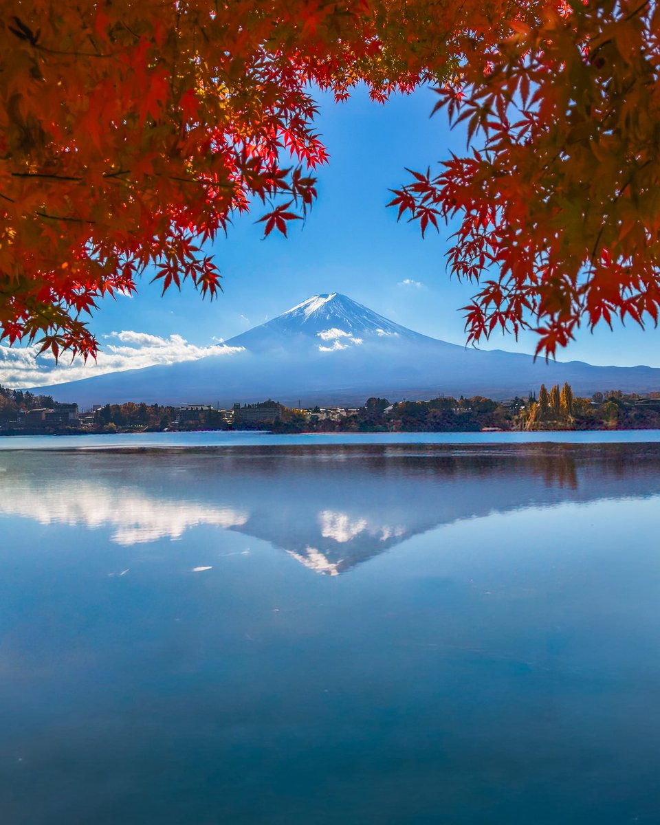 hello dongwon tweet media