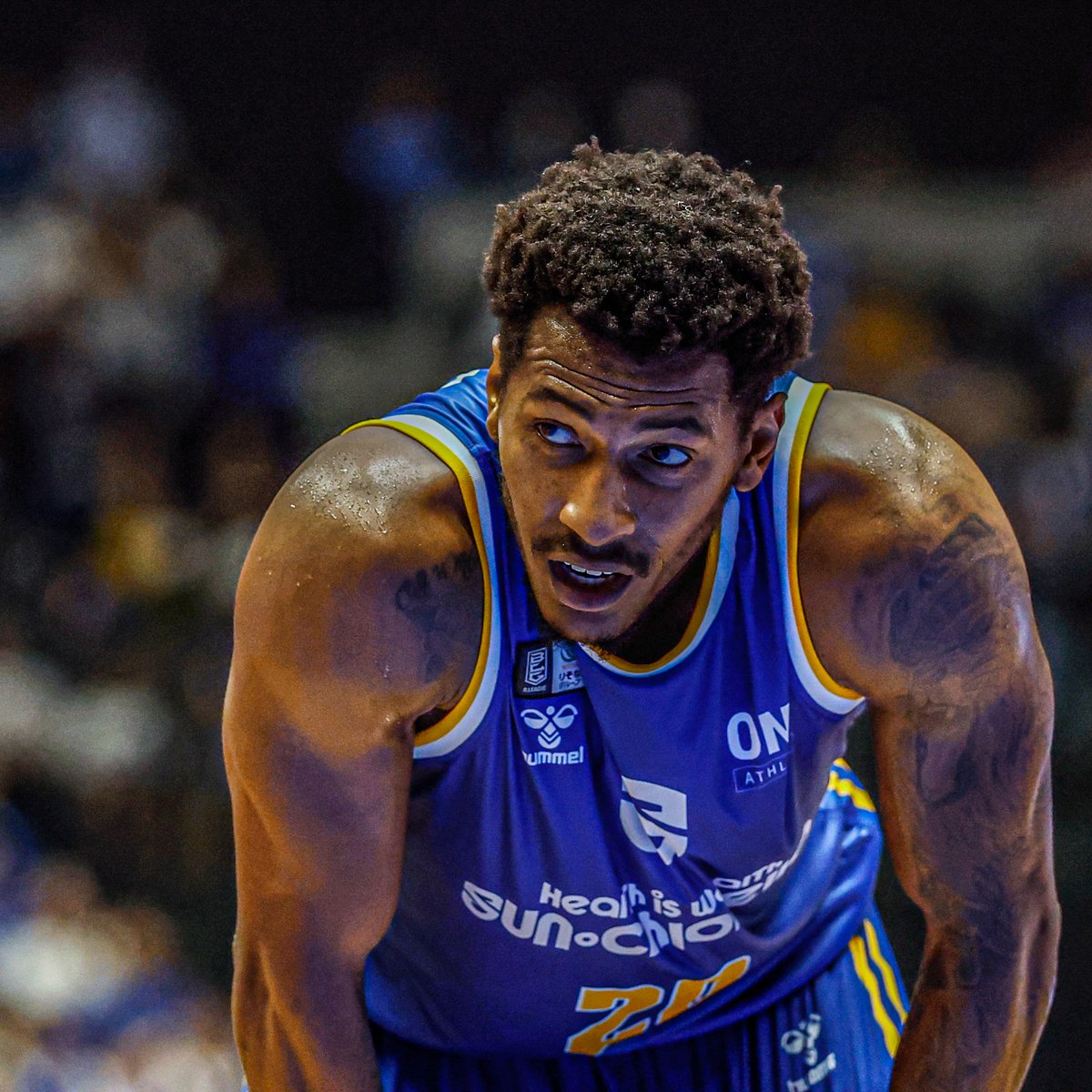 shigalakestars's tweet image. 11月29日は #いい肉の日 🍖
from SHIGA LAKES

このバイウィークでリフレッシュとパワーアップが進行中。滋賀レイクスの良い肉体たち、しっかり仕上げて来週からのシーズン中盤戦に臨みます💪

#滋賀レイクス #GetHyped