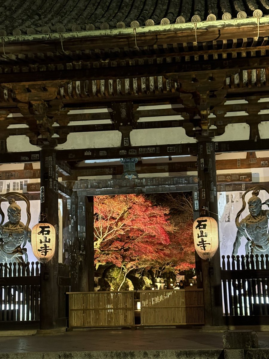 I1EReY9vLzfRxuu's tweet photo. あたら夜もみじ🍁♬
初めての幻想的な世界でした✨
 #和紗
#thirtynote https://t.co/St3vX61ydc
